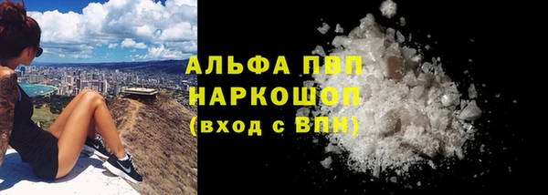 сатива Зуевка