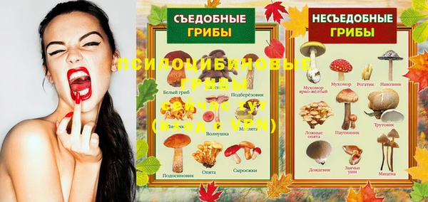 spice Баксан