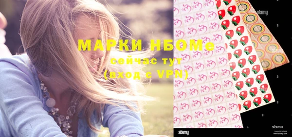 прущие грибы Белокуриха