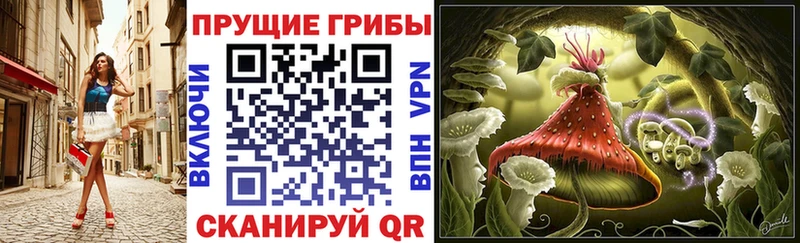 Галлюциногенные грибы ЛСД  цены наркотик  Славгород 