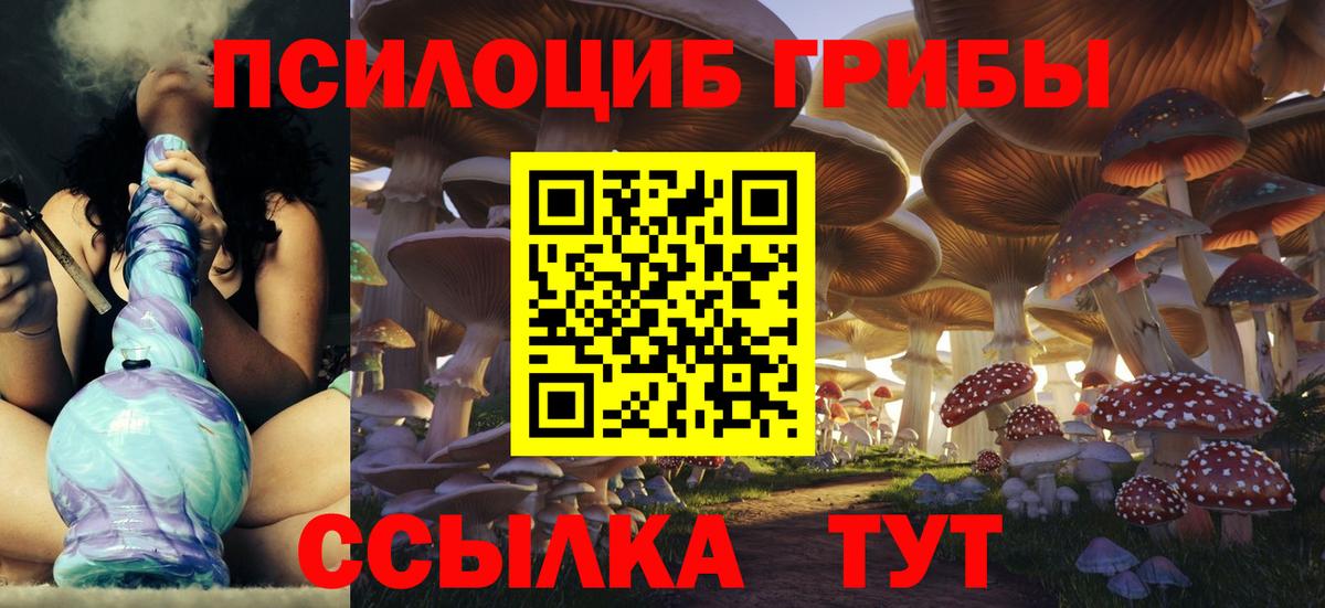 Галлюциногенные грибы Cubensis Славгород